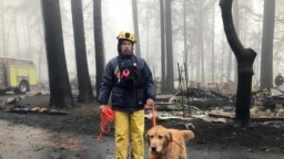 Eric Darling y su perro Wyatt son parte de un equipo del condado Orange, en el sur de California que ayuda a buscar restos en un parque de casas móviles en Paradise, California. Noviembre 23 de 2018.