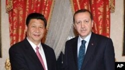 چین اور ترکی کے درمیان تعاون بڑھانے کے معاہدات