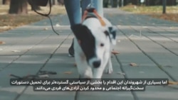 ادامه جنگ جمهوری اسلامی با سبک زندگی مردم؛ این بار تشدید ممنوعیت سگ‌گردانی