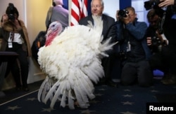 National Turkey Federation Chairman Jeff Sveen presents one of the National Thanksgiving Turkeys to members of the press before U.S. President Donald Trump participates in the 71st national turkey pardoning at the White House in Washington, U.S., Nov. 20, 2018.