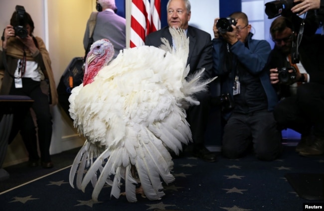 National Turkey Federation Chairman Jeff Sveen presents one of the National Thanksgiving Turkeys to members of the press before U.S. President Donald Trump participates in the 71st national turkey pardoning at the White House in Washington, U.S., Nov. 20, 2018.