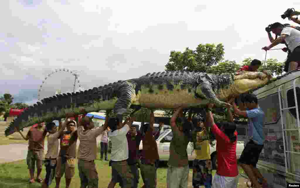 Workers carefully unload 21-foot crocodile robot &quot;Longlong&quot; from the roof of a van in Crocodile Park in Pasay city, metro Manila, Philippines, July 5, 2014.