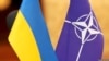 В Украине растет поддержка идеи вступления страны в НАТО