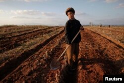 FILE - A North Korean boy works in a field of a collective farm in an area damaged by summer floods and typhoons in South Hwanghae province Sept. 30, 2011. I