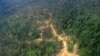 Foto udara hutan di Kalimantan Timur (foto: dok). Greenpeace mengatakan pemerintah harus mereview konsesi-konsesi jika menargetkan 45 persen Kalimantan sebagai paru-paru dunia.