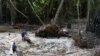 Penambangan Liar Emas Rusak Amazon 