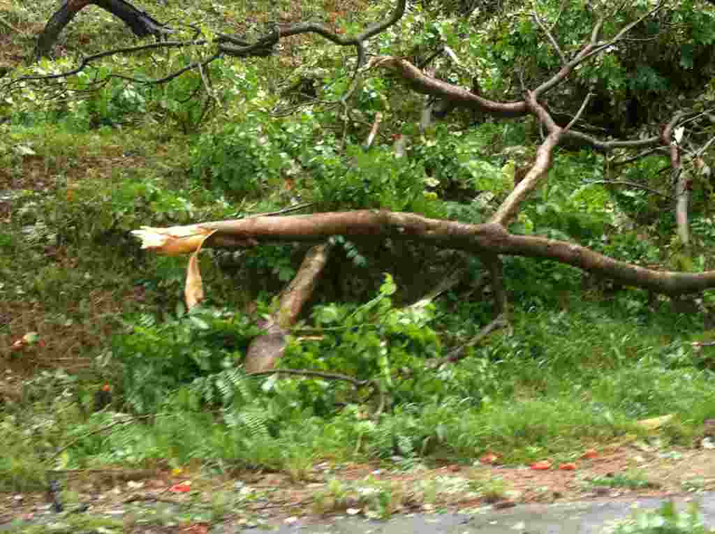 Imágenes de la situación en Puerto Rico tras el paso del huracán Irene.