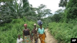 A group of Ivorian refugees walk to the town of Gborplay in Liberia (File Photo)
