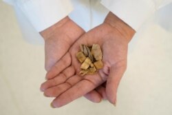 Wood chips from quillay trees, or Soapbark trees (Quillaja saponaria), which are native to Chile and contain a substance that can be used in coronavirus disease (COVID-19) vaccines, are shown in a laboratory operated by U.S.-based Desert King International.