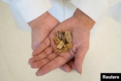 Wood chips from quillay trees, or Soapbark trees (Quillaja saponaria), which are native to Chile and contain a substance that can be used in coronavirus disease (COVID-19) vaccines, are shown in a laboratory operated by U.S.-based Desert King International.