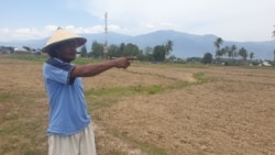 Arkan (43), petani di desa Lolu menunjukkan areal persawahan yang kini mengalami kekeringan sejak saluran irigasi gumbasa rusak akibat gempa bumi 28 september 2018 silam, 12 November 2019. (Foto: Yoanes LItha/VOA)