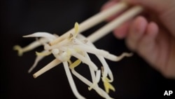 A woman holds bean sprouts with chopsticks in Berlin, Germany, June 5, 2011