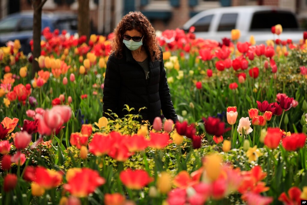 Filadelfia: Una mujer con tapa bocas observa las flores en el&nbsp;barrio Society Hill de Filadelfia. Cada día más personas salen a las calles utilizando esta prenda.