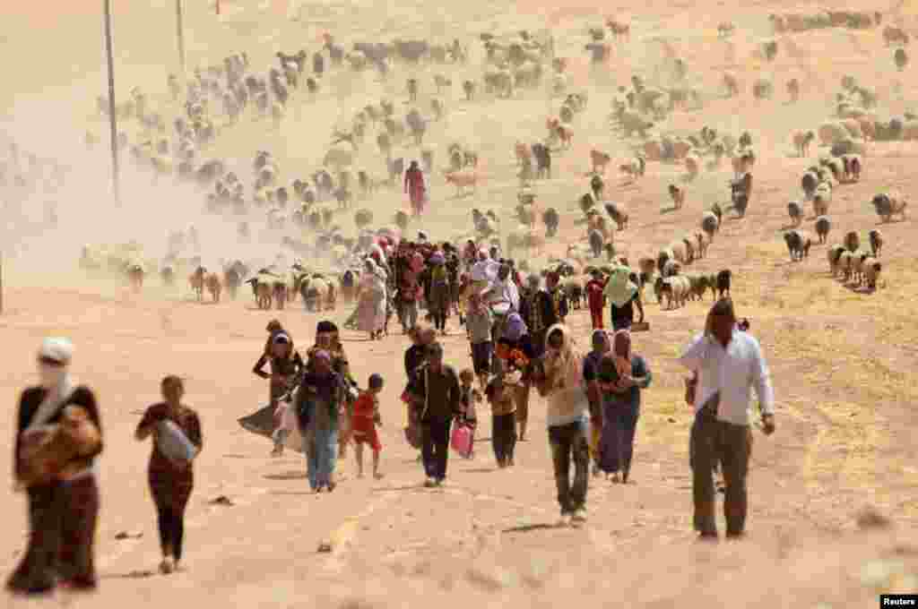 Para pengungsi dari sekte minoritas Yazidi melarikan diri dari kekerasan pasukan ISIS di kota Sinjar, Irak, berjalan menuju perbatasan Suriah di pinggiran gunung Sinjar, Agustus 2014. (Reuters/Rodi Said)