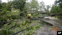 A National Grid crewman removes a snapped electrical pole in Narragansett, R.I., Aug. 23, 2021. 