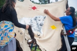 FILE - Charlene Hollow Horn Bear and Keith Ryder take down a buffalo hide painted with a depiction of a white buffalo calf after a naming ceremony for a recently born calf at the Buffalo Field Campaign headquarters in West Yellowstone, Montana, June 26, 2024.