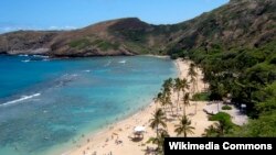 Hanauma Bay in Hawaii has been named the best beach in the United States.