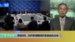 VOA连线(方冰)：香港反对党：习近平用中国模式取代香港自由民主价值