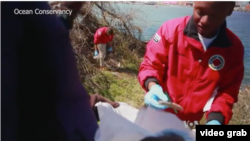 Relawan dari Ocean Conservansy melakukan aksi 'bersih sampah' dan menemukan banyak sampah berupa sedotan dari plastik. (Foto: VOA-Steve Baragona/Videograb)