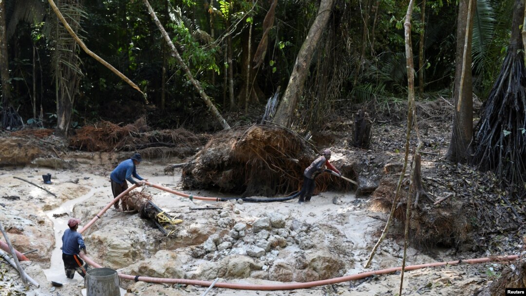 Penambang emas ilegal di kawasan pelestarian lingkungan di hutan hujan Amazon, Itaituba, negara bagian Para, Brazil 3 September 2021. (REUTERS/Lucas Landau)
