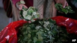 El presidente boliviano Evo Morales aseguró que es necesaria una nueva ley que contemple la producción de hoja de coca.