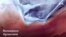 Google добавил тысячу 4K-снимков в Earth View