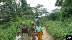 A group of Ivorian refugees trek onwards to the town Gborplay in Liberia, after being ferried across the Cestos river at the border with Ivory Coast in a raft (File Photo)