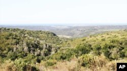 FILE - Conservationists report that the cheetah has adapted very well to the valley bushveld vegetation usually found on Eastern Cape game reserves.