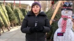 سیمای آمریکا