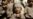 16x9 Image