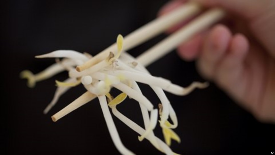 A woman holds bean sprouts with chopsticks in Berlin, Germany, June 5, 2011