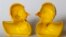 The March 27, 2018, photo shows the inside of a rubber duck after it was cut open for the photo in Nauen, Germany. 
