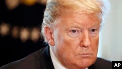 Trump Government Shutdown