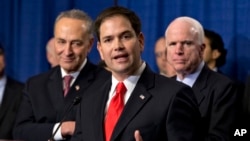 Thượng nghị sĩ Marco Rubio thuộc đảng Cộng hòa