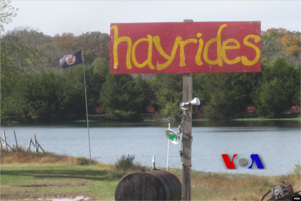 &rsquo;ہائی رائڈز&lsquo; کاکس فارم میں سب کی پسندیدہ تفریحی منزل 