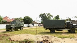 Uganda on Alert as ADF Militants Cross Border