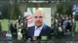 اخبار شامگاهی