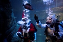 Penyelam berpakaian seperti Sinterklas dan malaikat, berpose di dalam tangki ikan di akuarium Sea Life di Munich, Jerman, 3 Desember 2021. (REUTERS/Lukas Barth)