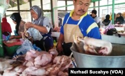 Meski harga jual peternak anjlok, harga ayam di pasar masih wajar. (Foto: Nurhadi Sucahyo/VOA)