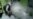 WHO launches plan to tackle growing threat of dengue, other diseases