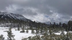 Tormenta invernal cancela vuelos y causa accidentes en EEUU