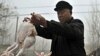 Trung Quốc bênh vực cho thuế biểu đánh vào gà nhập khẩu của Mỹ