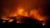 At Least 62 Die in Portugal Forest Fire