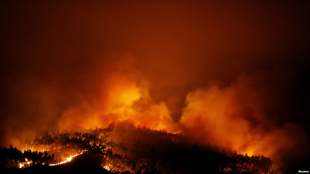 图为2017年6月18日葡萄牙大佩德罗冈地区的森林大火。