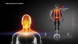 ԲԱՐԻ ԼՈՒՅՍ. Արամ Ավետիսյանը՝ քաղցկեղի դեմ պայքարի նոր մեթոդի մասին