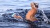 Vận động viên Diana Nyad phải bơi qua vùng biển động
