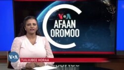 Tamsaasa Guyaadhaa Guyyaa