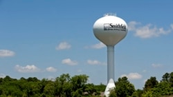 弗吉尼亞州史密斯菲爾德，一座印有 "火腿、歷史和好客 "口號的水塔聳立。 (2013年5月30日）