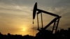 Russia, Venezuela Seek to Combat Oil Price Woes