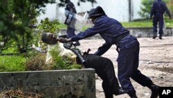 Un partisan de Tshisekedi arrêté par un policer devant la permanence de l'UDPS à Kinshasa